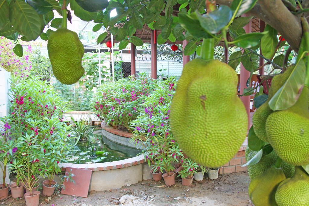 Countryside Garden Homestay Hoi An Zewnętrze zdjęcie